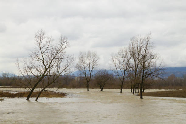 istock Brenta river flood. Italian rural landscape. 1294694934