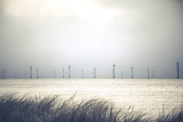 Coastal wind turbines in Denmark pave the future for sustainable energy. The mega windmills are situated in southern Denmark in a windpark called Rødsand Havmøllepark or Nysted Havmøllepark.