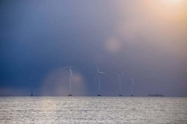istock Wind turbines in the ocean and coaster 1294697104