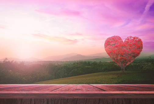 World health day concept: Wooden table and heart shape of red big tree on mountain sunset background