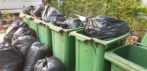 istock Garbage collected in black bags is in green trash ready for disposal. 1294700447