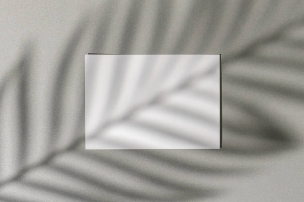 istock Business card on paper background with foliage shadow 1294707670