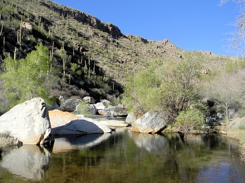 boulders reflected in stream in Sabino Canyon, winter
Tucson, Arizona  USA