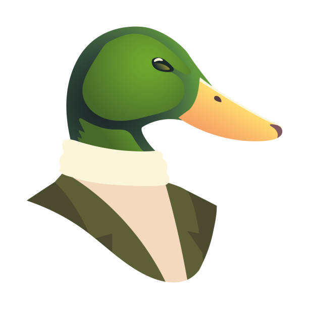235 Crazy Duck Heads Stock Photos, Pictures & Royalty-Free Images - iStock