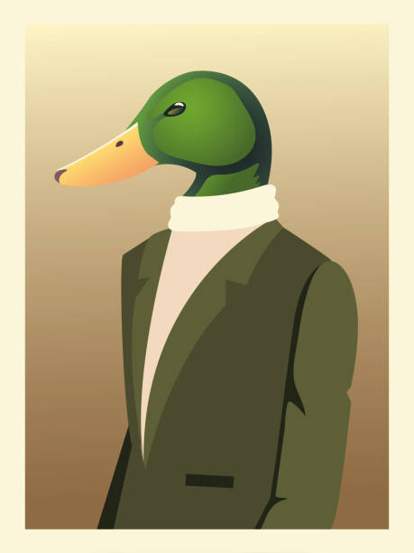 people art animals, duck character fashion hipster and vintage clothes people art animals, duck character fashion hipster and vintage clothes vector illustration duck with hat stock illustrations