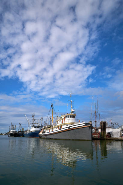 istock Steveston Harbour Fishboats in Sunshine 1294728139