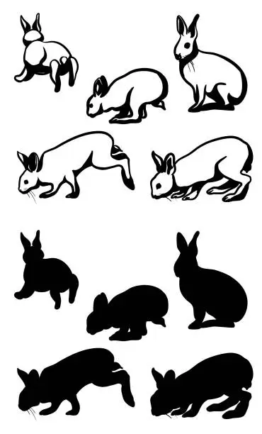 Vector illustration of Rabbits In Action Silhouette