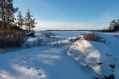 Trees, stones and bushes on a frozen lake shore covered with snow on sunset in a good weather day