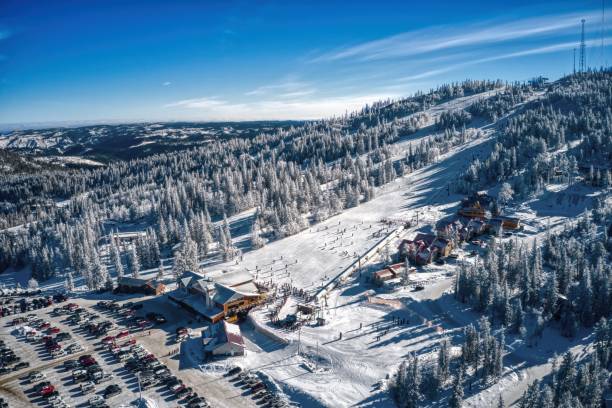 widok z lotu ptaka na popularny stok narciarski w south dakota black hills - big bear zdjęcia i obrazy z banku zdjęć