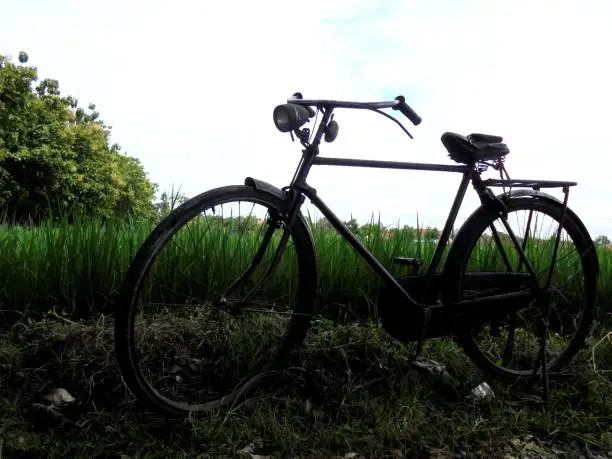 The roadster bicycle is an old-fashioned standard type bicycle with 28 inch tires which was commonly used by urban communities until the late 1970s.