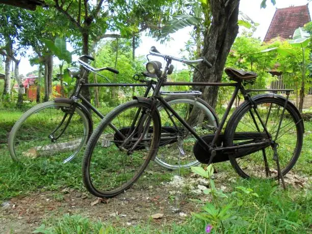 The roadster bicycle is an old-fashioned standard type bicycle with 28 inch tires which was commonly used by urban commonities until the late 1970s.