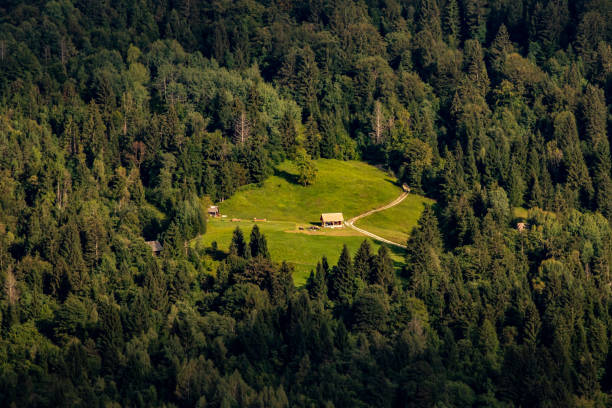 istock Mountain hut on mountain pasture 1294775991