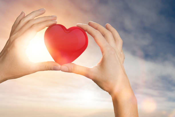 istock Female hands holding heart 1294778656