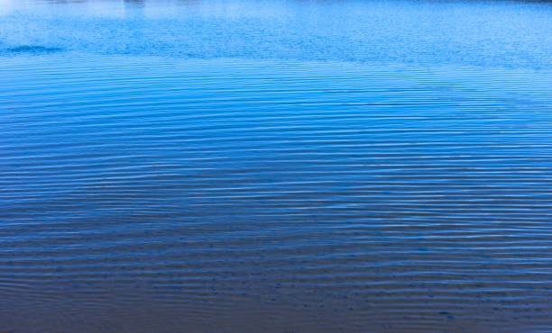 istock High angle view of abstract water surface background 1294785981