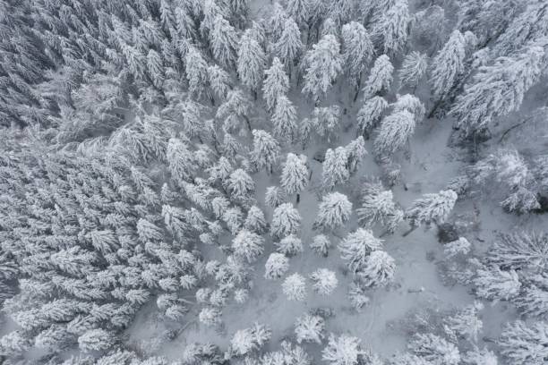 istock Snowy landscape in the Sancy massif during a hike 1294792752