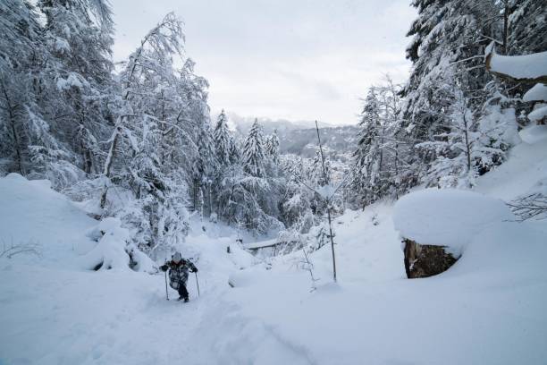istock Snowy landscape in the Sancy massif during a hike 1294792877