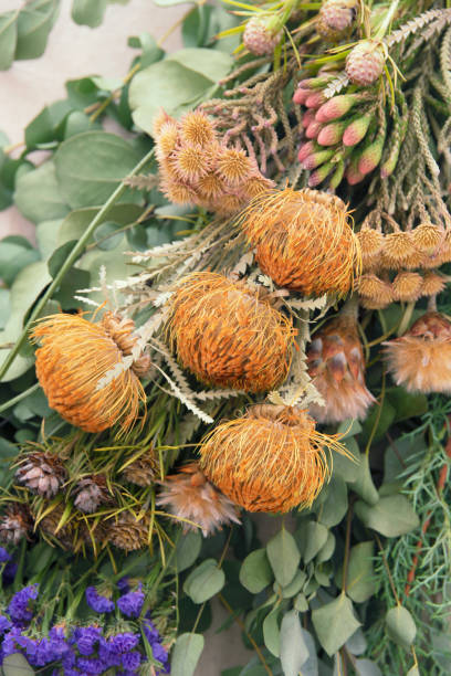 istock Bouquet of a eucalyptus and dryandra 1294794489