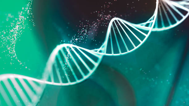 istock 3d render image of a human DNA. Black and white image. 1294795150