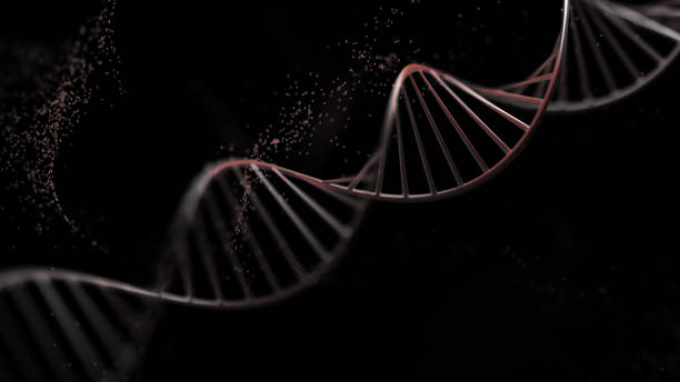istock 3d render image of a human DNA. Black and white image. 1294795158