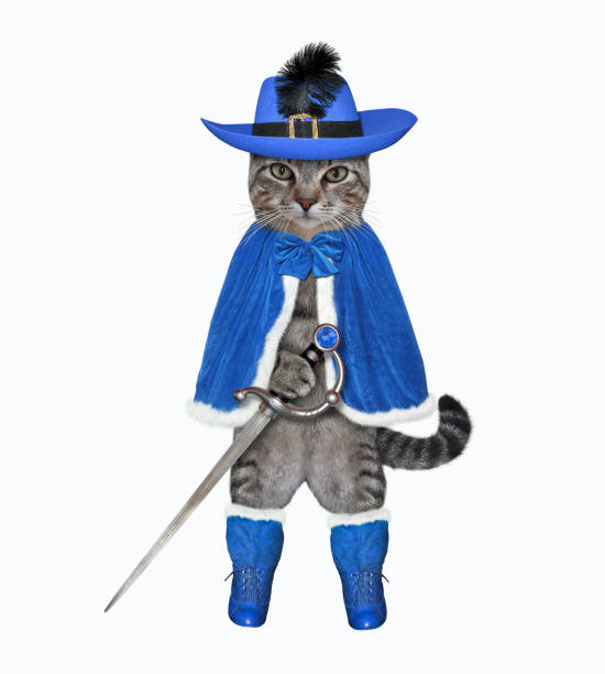 istock Cat gray in blue cloak with sword 1294801770