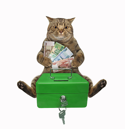 A beige cat putts russian rubles in a green metal portable safe. White background. Isolated.