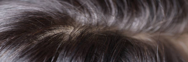 istock Black and gray hair on head closeup 1294802701
