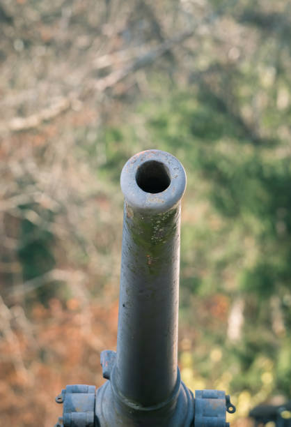 istock Detail with a World War I cannon barrel 1294809785