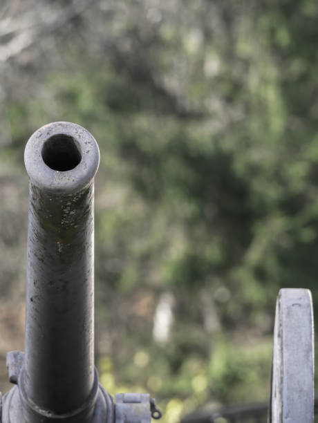 istock Detail with a World War I cannon barrel 1294809786