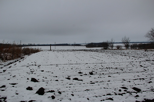 Winter agricultural field in the snow, overcast weather