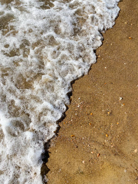 plan rapproché de la côte de mer, eau de mer claire avec des vagues peu profondes et une bande étroite de mousse blanche avec des bulles lave le rivage avec une surface de sable brun lisse - sandy brown bay beach sand photos et images de collection