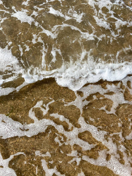 plan rapproché de la côte de mer, eau de mer claire avec des vagues peu profondes et une bande étroite de mousse blanche avec des bulles lave le rivage avec une surface de sable brun lisse - sandy brown bay beach sand photos et images de collection