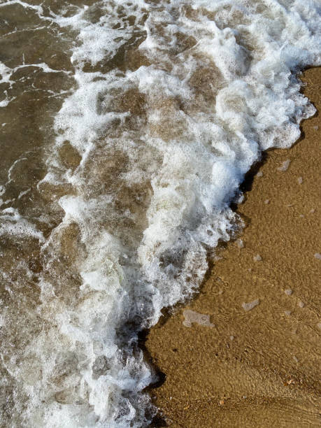 plan rapproché de la côte de mer, eau de mer claire avec des vagues peu profondes et une bande étroite de mousse blanche avec des bulles lave le rivage avec une surface de sable brun lisse - sandy brown bay beach sand photos et images de collection