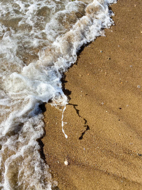 plan rapproché de la côte de mer, eau de mer claire avec des vagues peu profondes et une bande étroite de mousse blanche avec des bulles lave le rivage avec une surface de sable brun lisse - sandy brown bay beach sand photos et images de collection