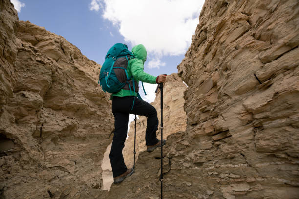 istock Hiking on sand desert looking at the view 1294819506