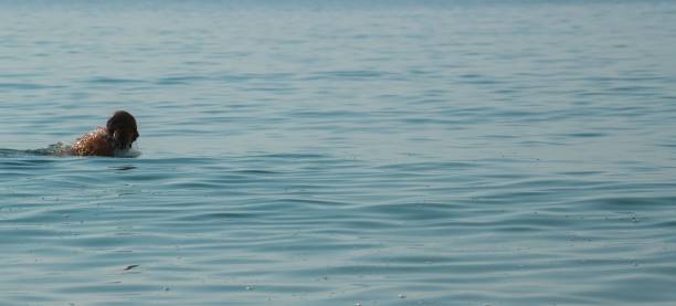 Full Frame Shot Of Rippled Water