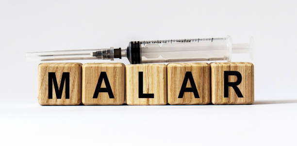 istock Text MALAR made from wooden cubes. White background 1294824474
