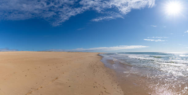 istock beautiful wide empty golden sand beach 1294829267