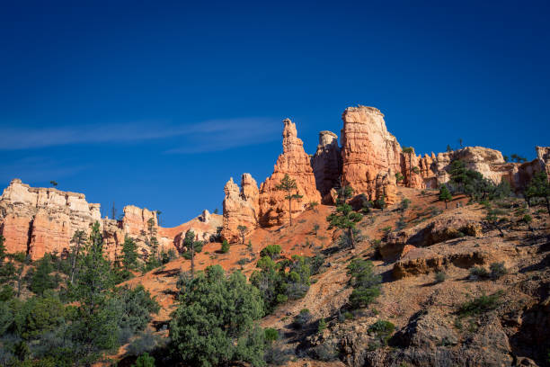 istock Bryce canyon in state of Utah 1294831932