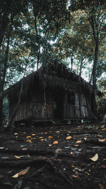 istock An old creepy house 1294833161