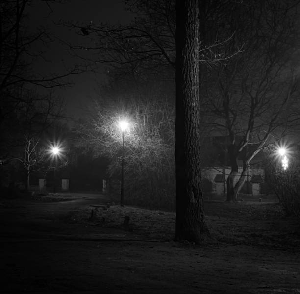 istock Tree trunk lit by lanterns in the dead of night 1294833521