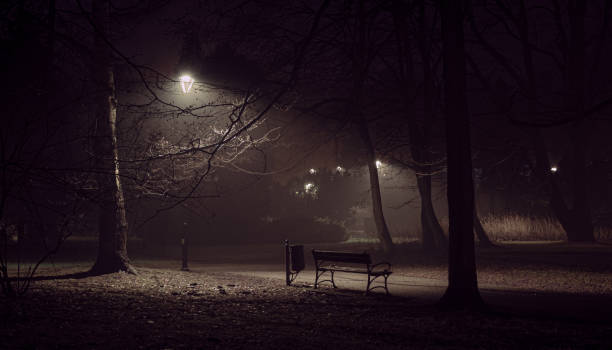 istock Abandoned park bench in the middle of night 1294833593