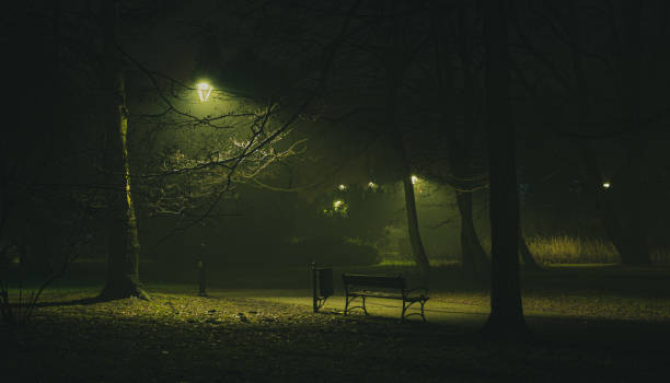 istock Abandoned park bench in the middle of night 1294833612