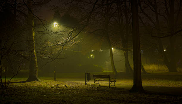 istock Abandoned park bench in the middle of night 1294833634