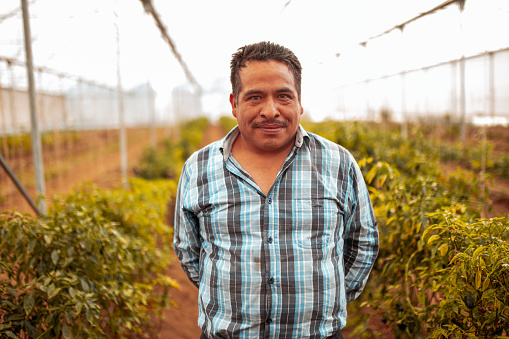 Portrait of happy Hispanic worker
