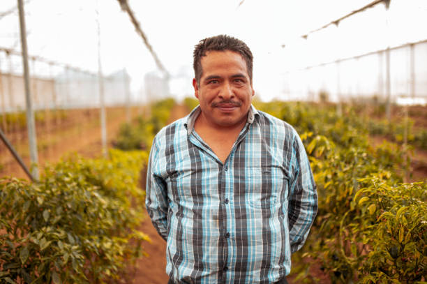 Portrait of smiled farm worker Portrait of happy Hispanic worker plant nursery photos stock pictures, royalty-free photos & images