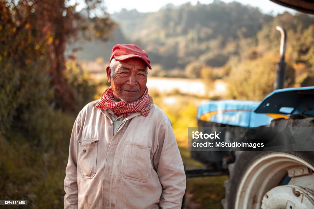 Portrait of senior farm worker Portrait of Hispanic farm worker Farmer Stock Photo