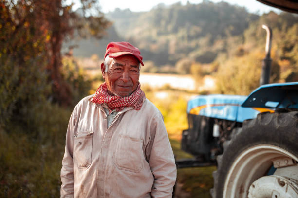 Portrait of senior farm worker stock photo