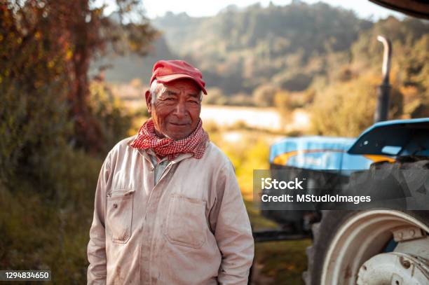 Portrait Of Senior Farm Worker Stock Photo - Download Image Now - Farmer, Mexico, Farm Worker