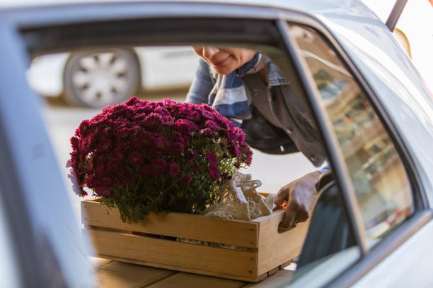 istock Packing flowers and groceries in a car trunk 1294836375