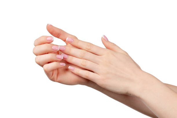 istock Well-groomed female hands with manicure on white background 1294837982